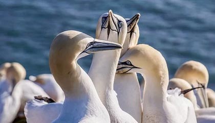 九游体育下载app——让运动激情随时点燃