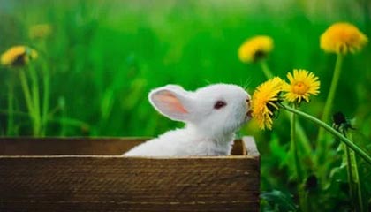 九游体育下载app——让运动激情随时点燃